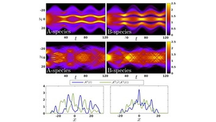 Correlation Effects In The Quench Induced Phase Separation Dynamics Of