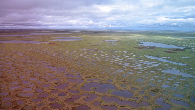 Biochemistry of the Climate System