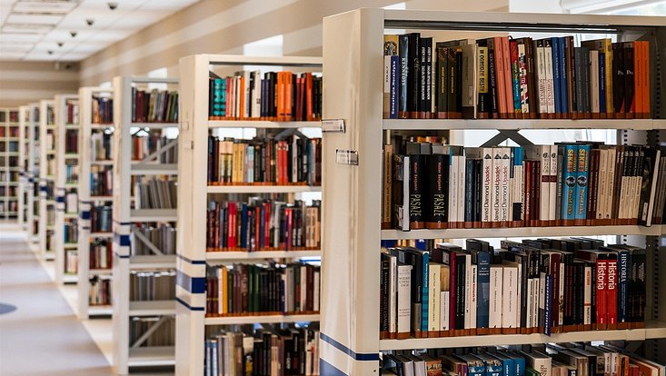 book shelves in library