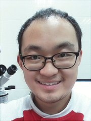 Lu Yang Lu Yang