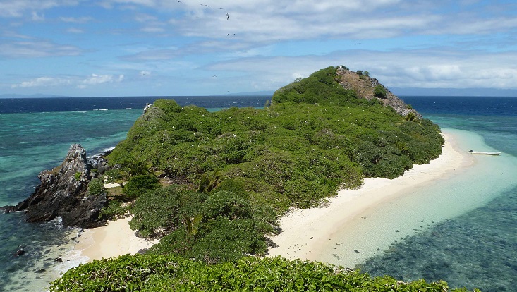 Eine Insel im blauen Meer. Die Insel ist voller grüner Bäume. Drumherum ein heller Sandstrand.
