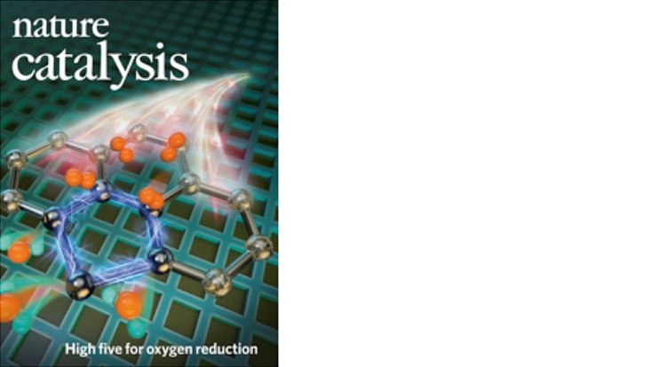 Nature catalysis Cover