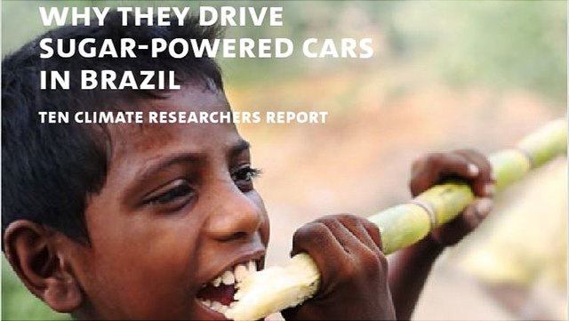 8 eng-640x361 Cover picture, boy biting in sugar cane