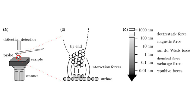 Darstellung der Rasterkraftmikroskopie (AFM).
