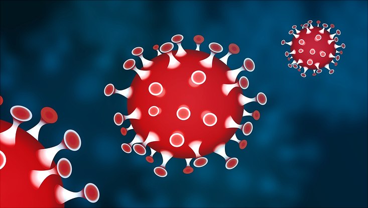 Corona Virus