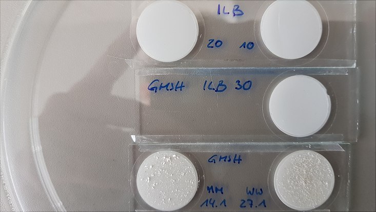 raman-filter-733x414 raman filter