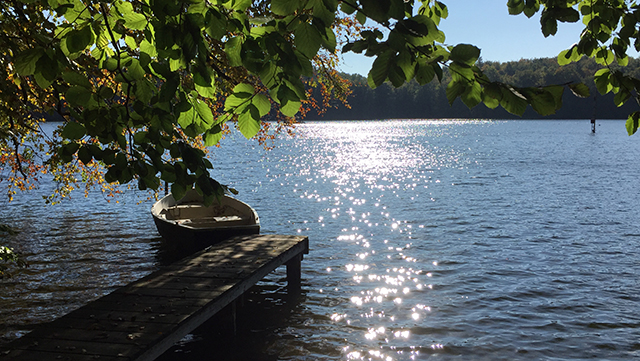 plusssee-640x361 Plusssee
