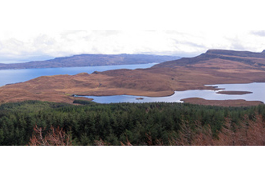 Photo of Dundee