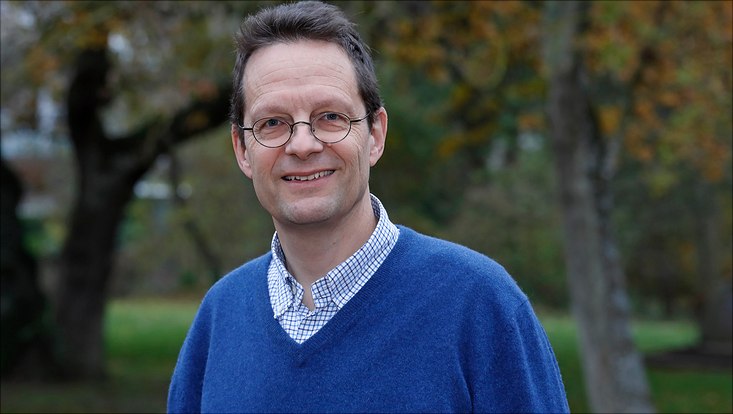 Mann in blauem Pullover vor grünem Hintergrund