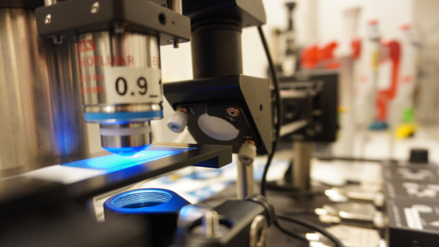 optische-pinzette640x361 Optische Pinzette