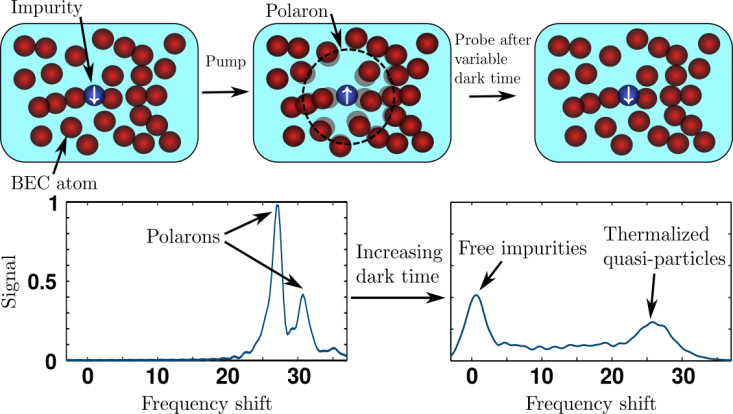 Research Grafik