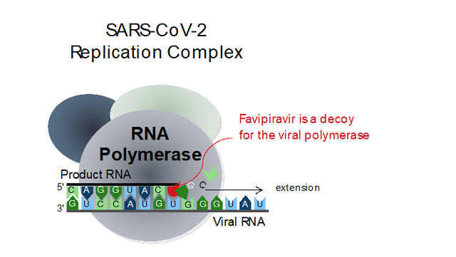 SARS-CoV2-ReplicationComplex_640x361 SARS-CoV2-ReplicationComplex_640x361