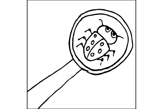 lupeunterwasser-1-fiona-540-360 Mit einer Lupe kann man Dinge genauer betrachten.