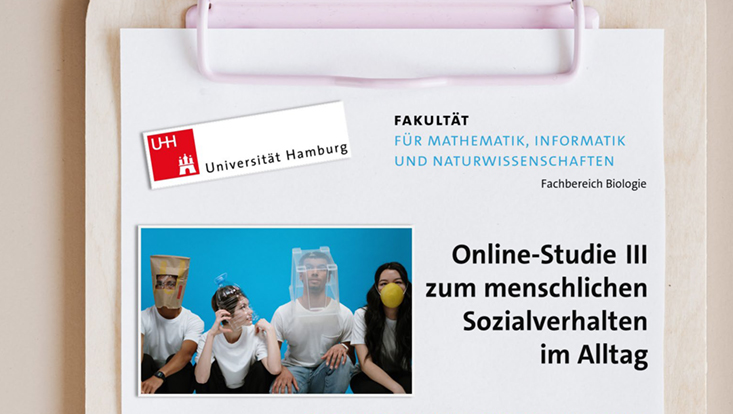 Bild Online Studie