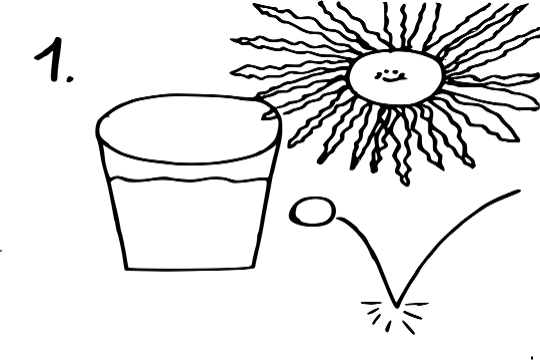 schatten1-fiona-540x360 Schatten