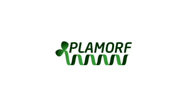 Logo Projekt Plamorf