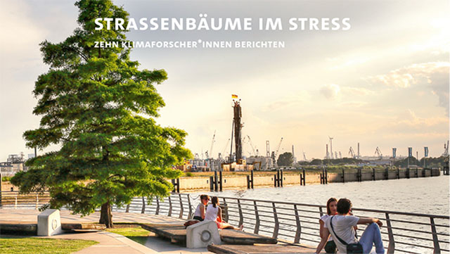 Booklet-10-Titelbild-640x361 Im Vordergrund fährt ein LKW auf einer Landstraße. Im Hintergrund ist ein großes gelbes Rapsfeld zu sehen mit Windkraftanlagen.