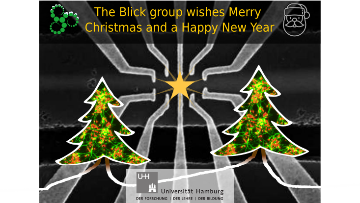 X-mas card: composition of action potential trace and magneto-transport device