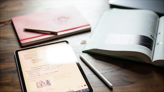 Additional educational offers