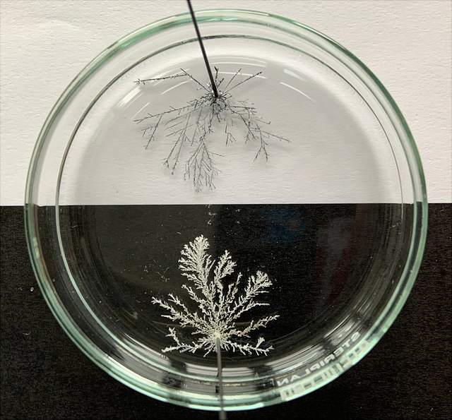 Bildung von fraktalen Strukturen an zwei Elektroden.