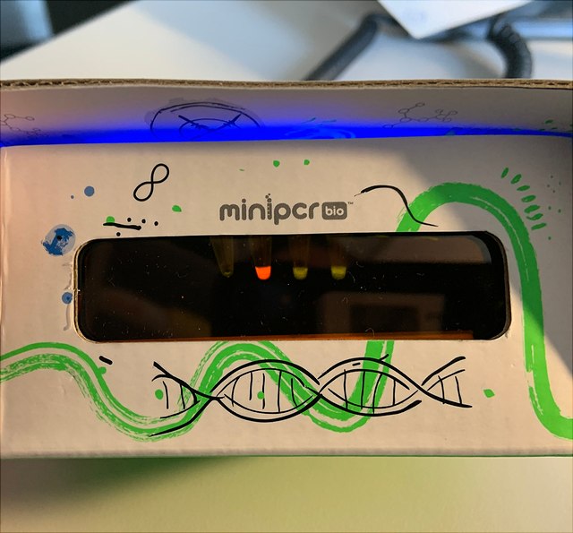Fluoreszenzbetrachter mit vier 0,2 mL Reaktionsgefäßen mit fluoreszierenden Lösungen.