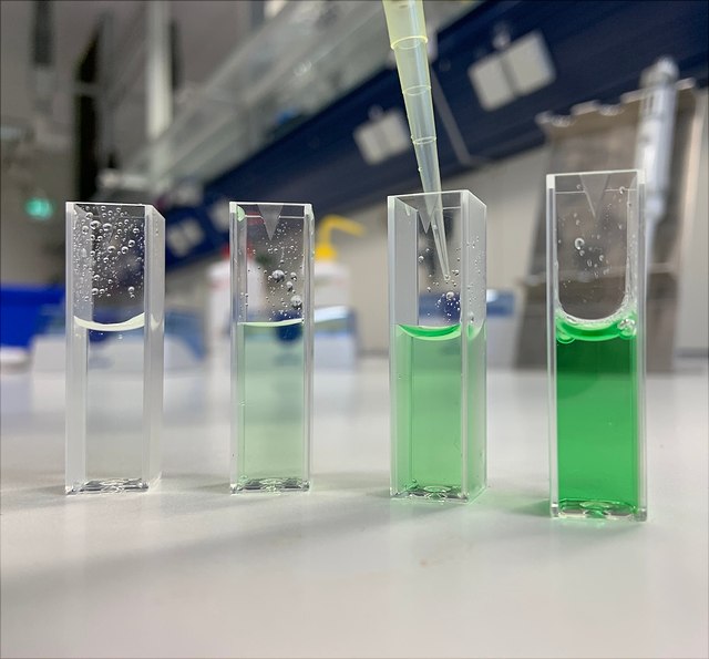 Vier Küvetten mit grünen Lösungen.