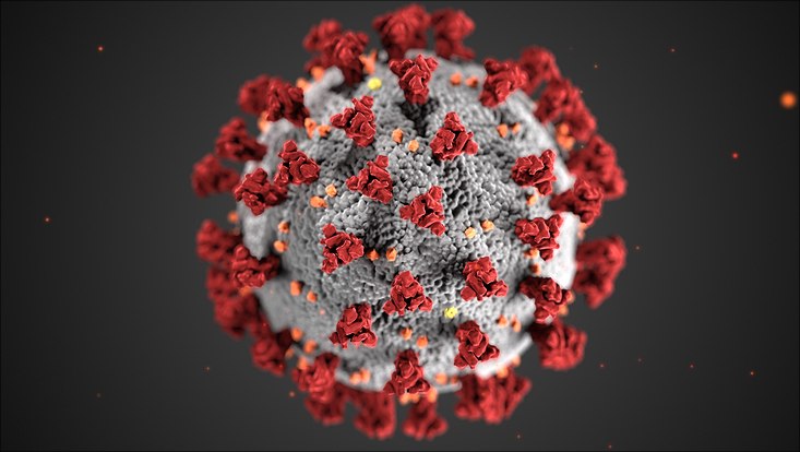 Illustration des Virus