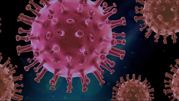 virus-4937553-1920