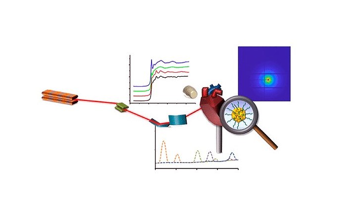 Illustration of X-ray-based analytics