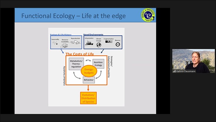 Screenshot of Prof. Dr. Kathrin Dausmann presenting her lecture via ZOOM.