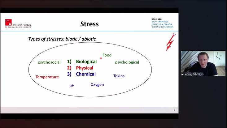 lecture-series-fabrizius-2-733x414 Bildschirmfoto von Andrej Frabrizius bei seinem ZOOM-Vortrag.
