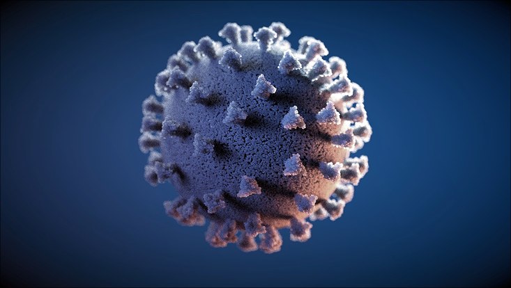 Illustration des Virus