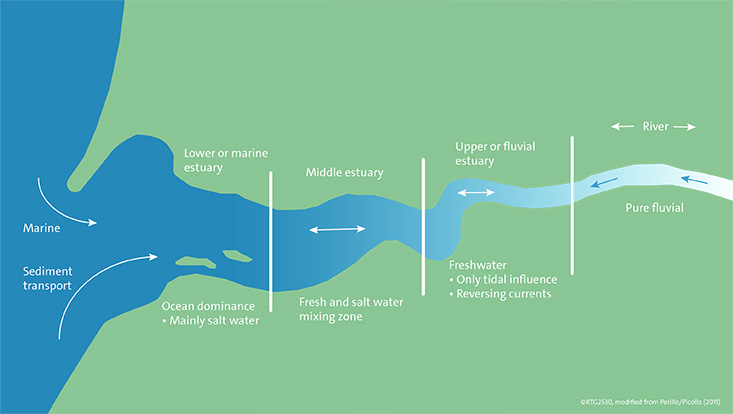 Graphic of the different estuary zones.