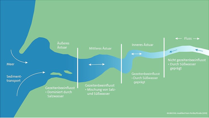 Illustration der verschiedenen Ästuarzonen.