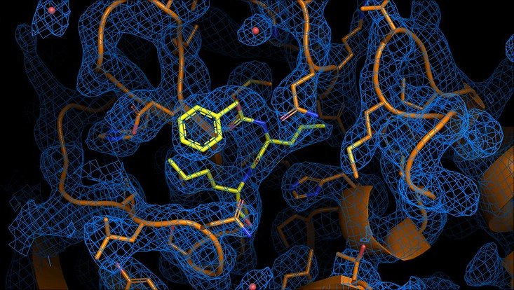 Electron Density Map