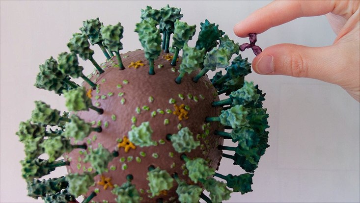 Modell des Corona-Virus