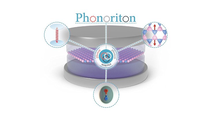 Illustration of the phonoriton, a three-way hybrid particle made up of excitons, phonons and photons.