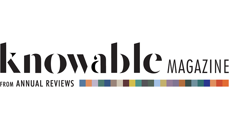 Logo Knowable MAGAZINE