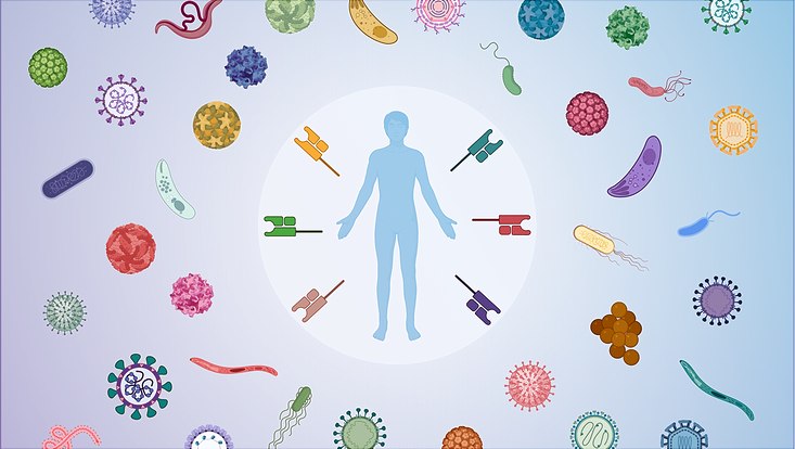 Pathogendiversität