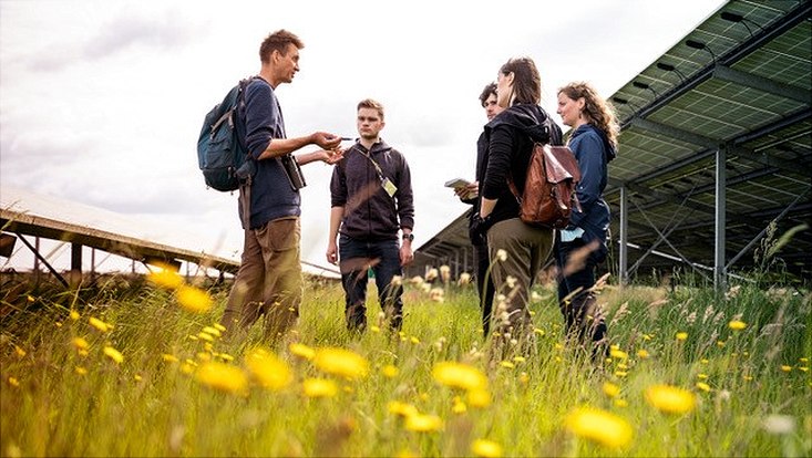 Studierende und Forscherinnen im Solarpark, Fauna und Flora erforschend