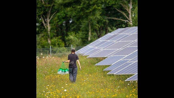 Studierender im Solarpark