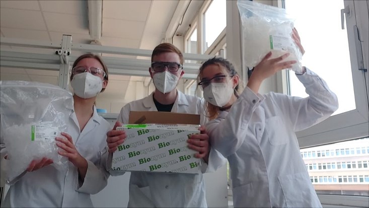 Studierende von iGEM Hamburg im Labor.