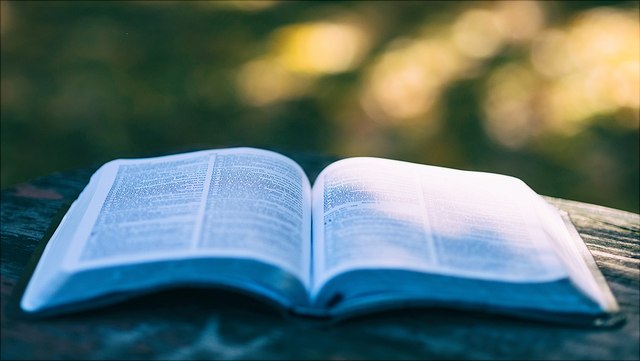 aufgeschlagenes Buch in der Natur