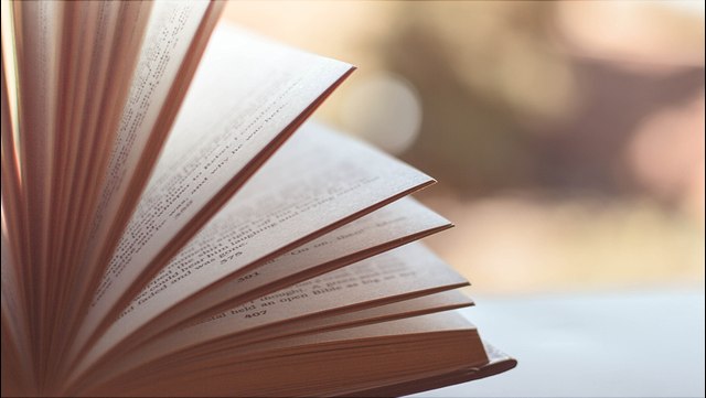 aufgeschlagenes Buch