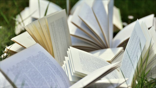 mehrere aufgeschlagene Bücher auf einer Wiese