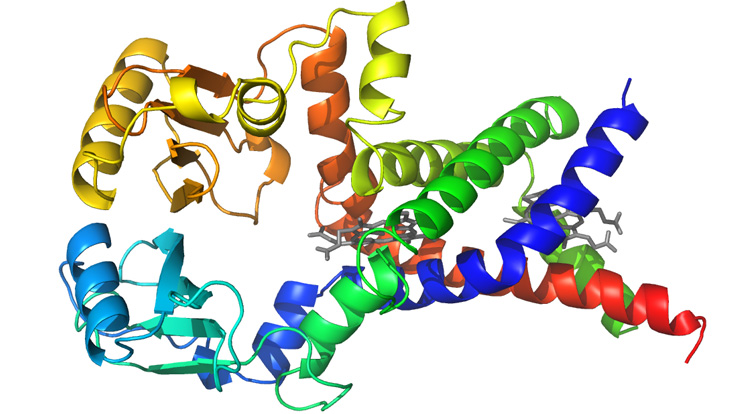 Membrane protein FoxB of the hospital pathogen P. aeruginosa as spirals in different colors.