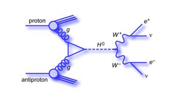 Particle Phenomenology