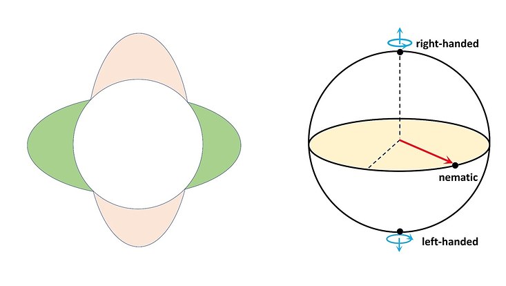 On the left is a blossom-like structure, on the right a Bloch sphere which looks like a ball