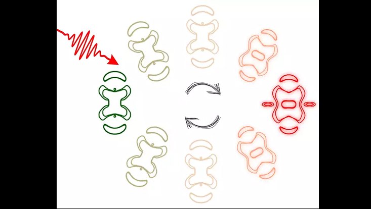 A femtosecond burst of light drives an exotic electronic transition in a semi-metallic crystal, on an unprecedented timescale.