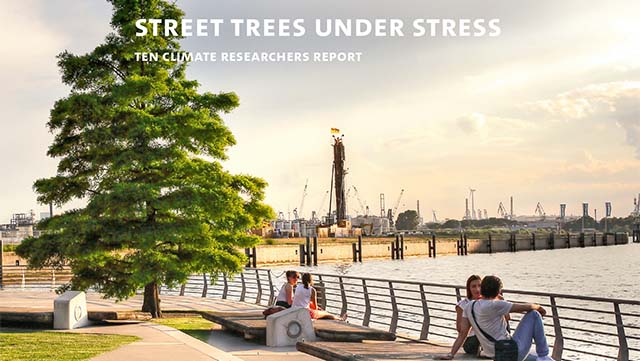 booklet-10-640x361 Green Tree near to the River Elbe